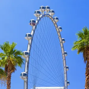 High Roller