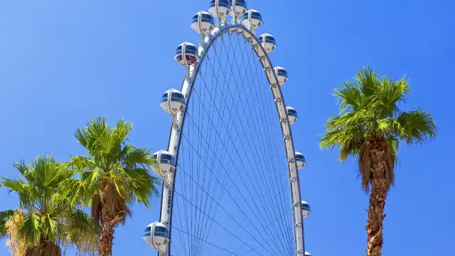 High Roller
