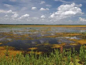 Emiquon Nature Preserve