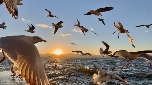 Sunrises in DaLi