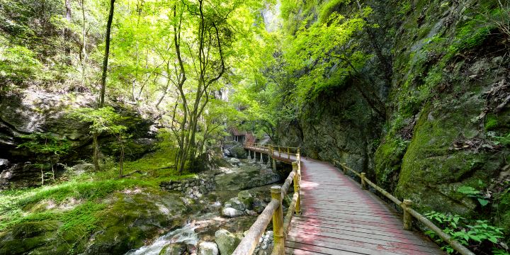Niubeiliang National Nature Reserve