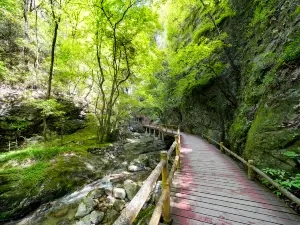 Niubeiliang National Nature Reserve