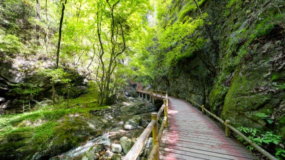Niubeiliang National Nature Reserve