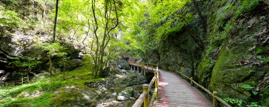 Niubeiliang National Nature Reserve