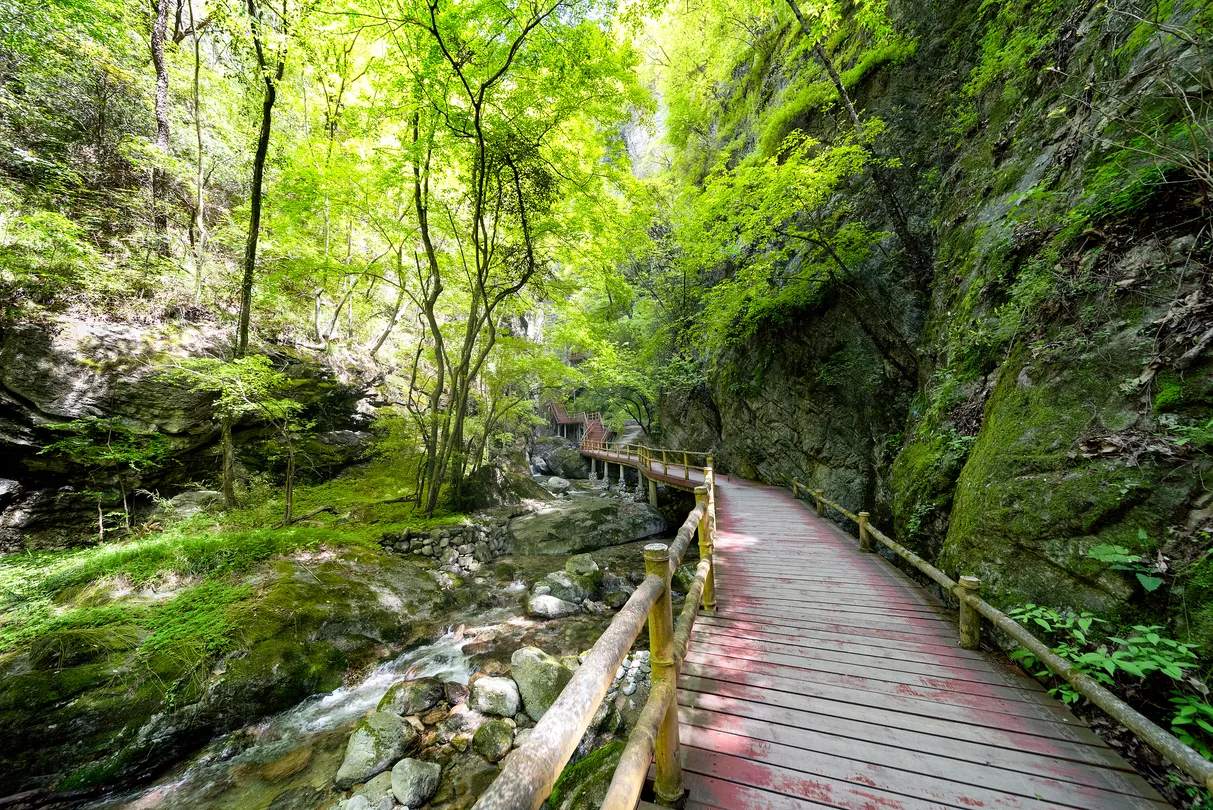 1_Niubeiliang National Nature Reserve of Shaa