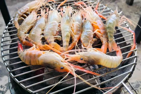 좀티엔 탈레 파오