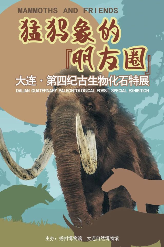 《猛獁象的朋友圈》大連第四紀古生物化石特展 | 揚州