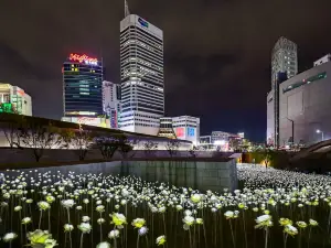 สวนประวัติศาสตร์และวัฒนธรรมตงแดมุน