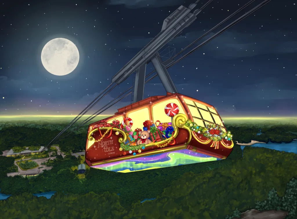 Stone Mountain Christmas | DeKalb County