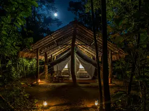 치트완의 인기 야경 필수 코스