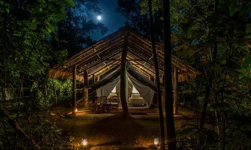 Chitwan National Park