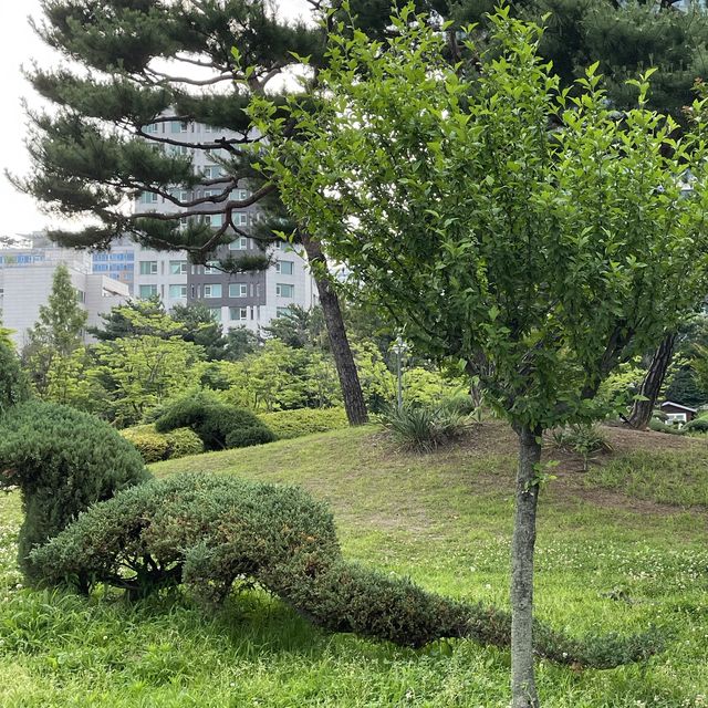 데이트하기 딱 좋은 수원 효원공원