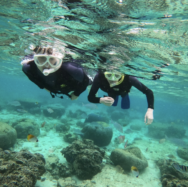 Snorkelling in Okinawa | Trip.com Okinawa Travelogues