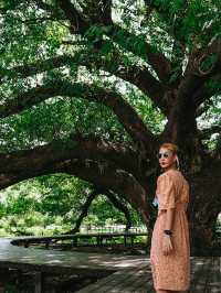 Amazing ต้มจามจุรียักษ์ กาญจนบุรี