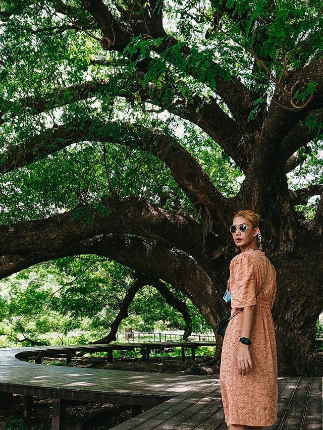 Amazing ต้มจามจุรียักษ์ กาญจนบุรี