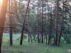 獅子山旅遊區