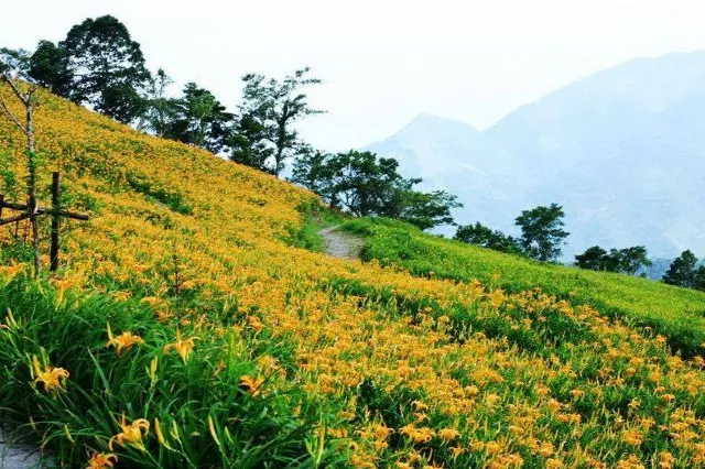 【台東輕旅行】IG超夯景點網紅拍照地，刷爆朋友圈的TOP10