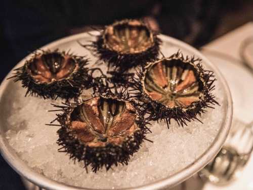 Langosteria