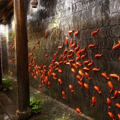 The Way of The Dragon (Kuanzhai) User Photo