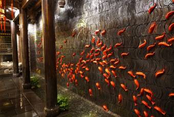 The Way of The Dragon (Kuanzhai) user photo
