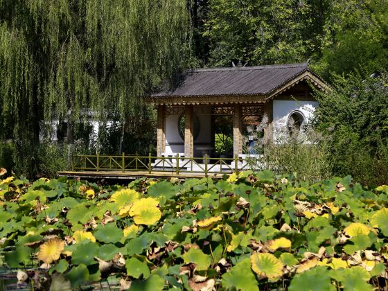 済南植物園