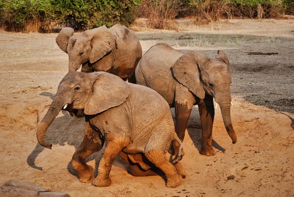 Pilanesberg National Park