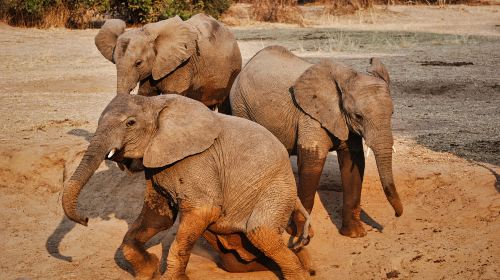 Pilanesberg National Park