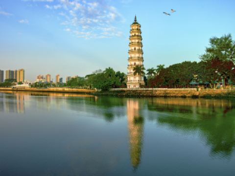 Beach Hotels Near Los Angeles