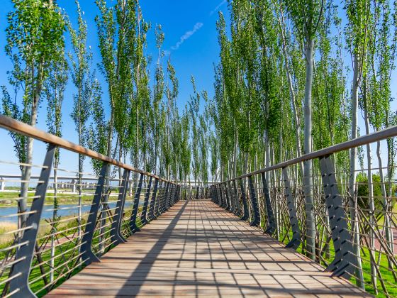 Fenghe Wetland Park