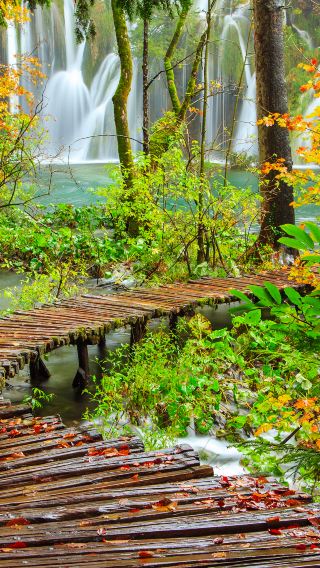 Plitvice Lakes National Park + Lotrscak Tower + Gallery Klovićevi Dvori private charter