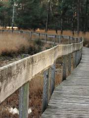 West Bloomfield Woods Nature Preserve