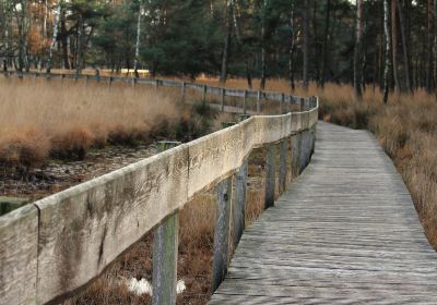 West Bloomfield Nature Reserve