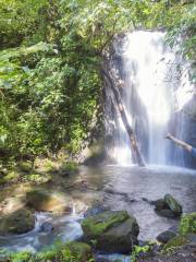 Dieshuihe Waterfall
