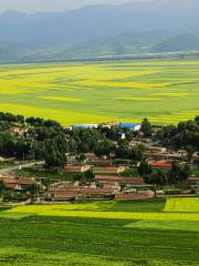 Minnan Chongkan Rapeseed Field