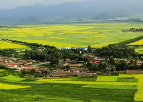 Minnan Chongkan Rapeseed Field