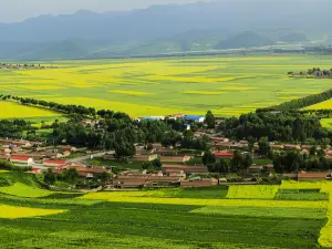 Minnan Chongkan Rapeseed Field