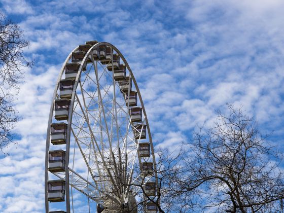 Paris Ferris Wheel