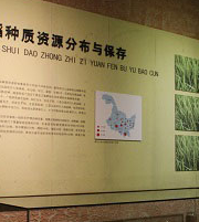 稻作博物館