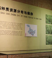 Daozuo Museum