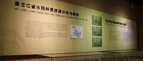 中國方正稻作博物館