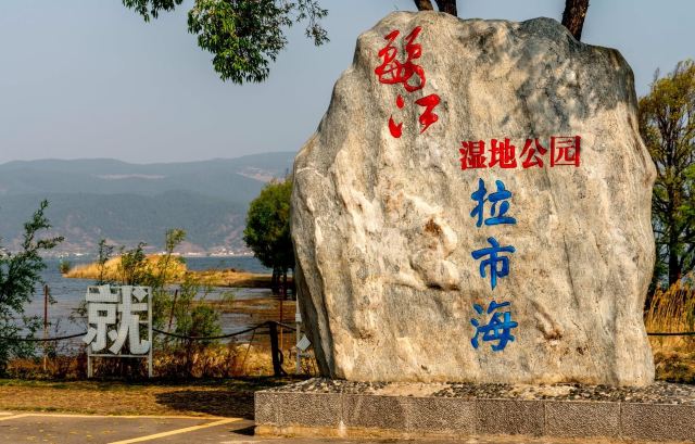拉市海
