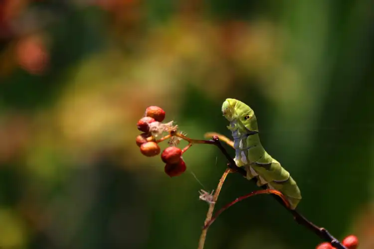Hotels in Miryang-Si