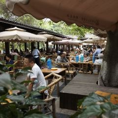 Zhong Dumplings User Photo