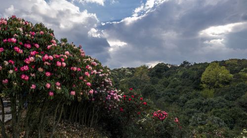 Yingwu Mountain