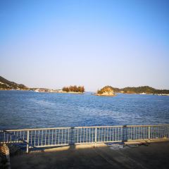 桂港海鮮城張用戶圖片