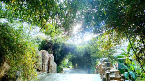 Jiuzhou Garden Of Eden