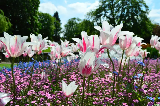 Отели с услугой парковкой в г. Север Запад Лестершир Дистрикт