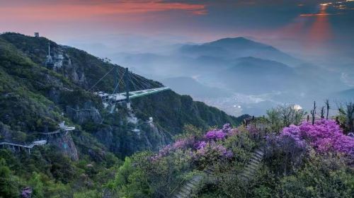 雲上草原