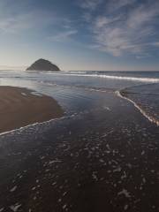 Morro Strand State Beach