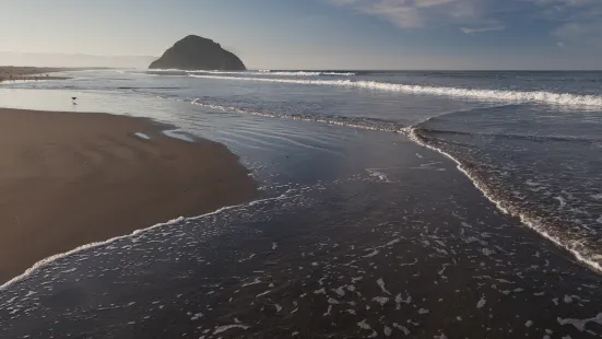 Morro Strand State Beach